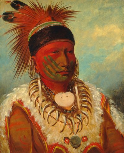 アイオワ州の首長、ホワイトクラウド 作： George Catlin